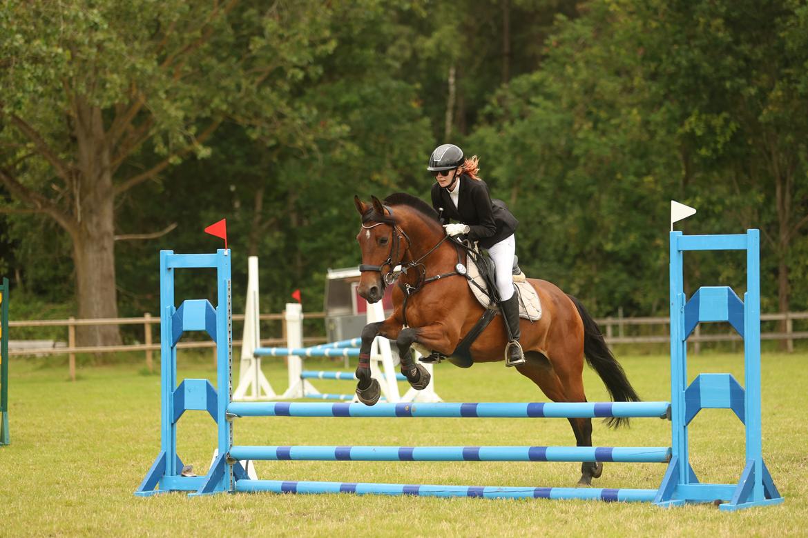 Anden særlig race LUCKY DESTINY billede 4