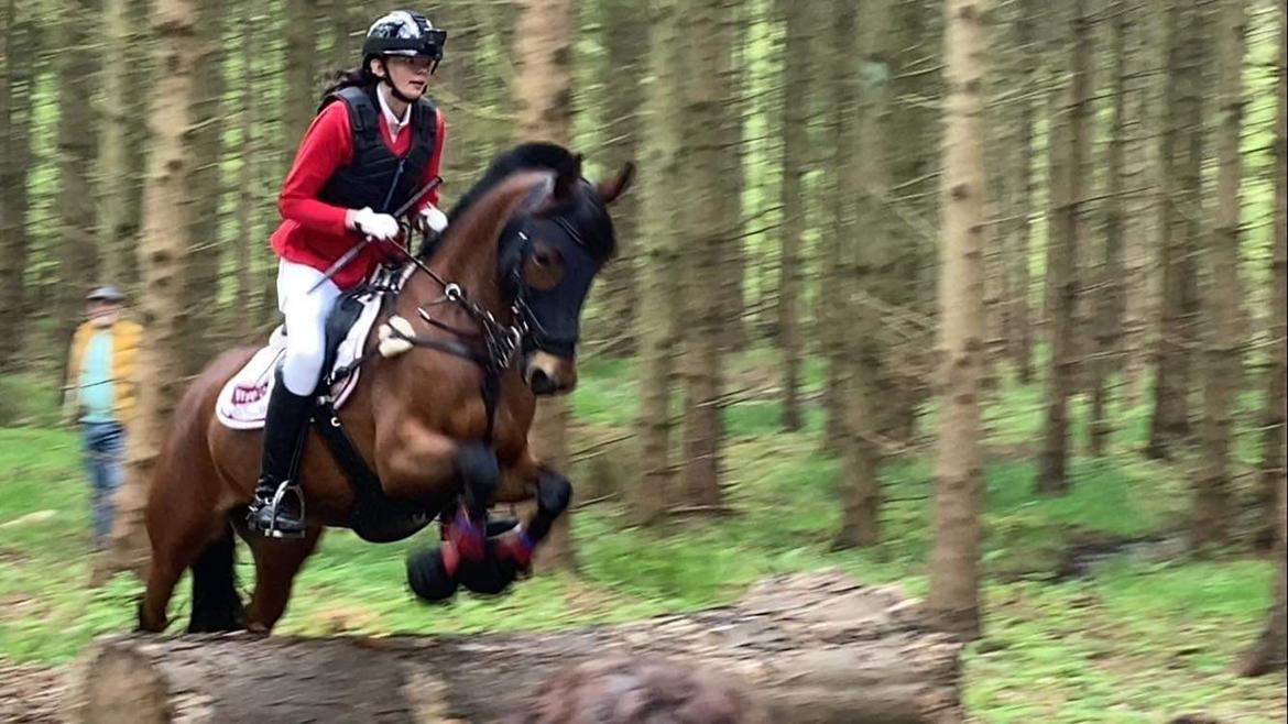 Anden særlig race LUCKY DESTINY billede 5