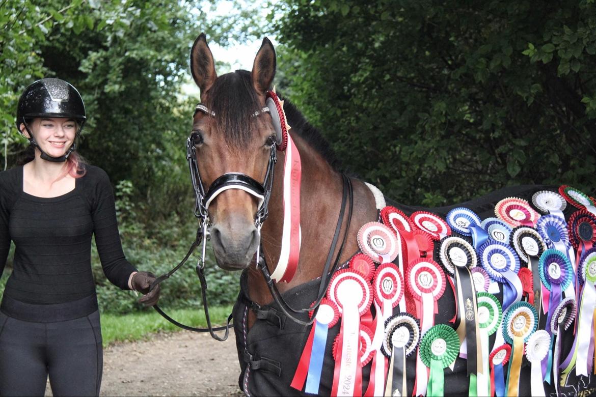Anden særlig race LUCKY DESTINY billede 1