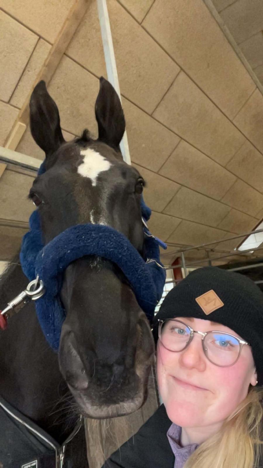 Hannoveraner Conquistador billede 16