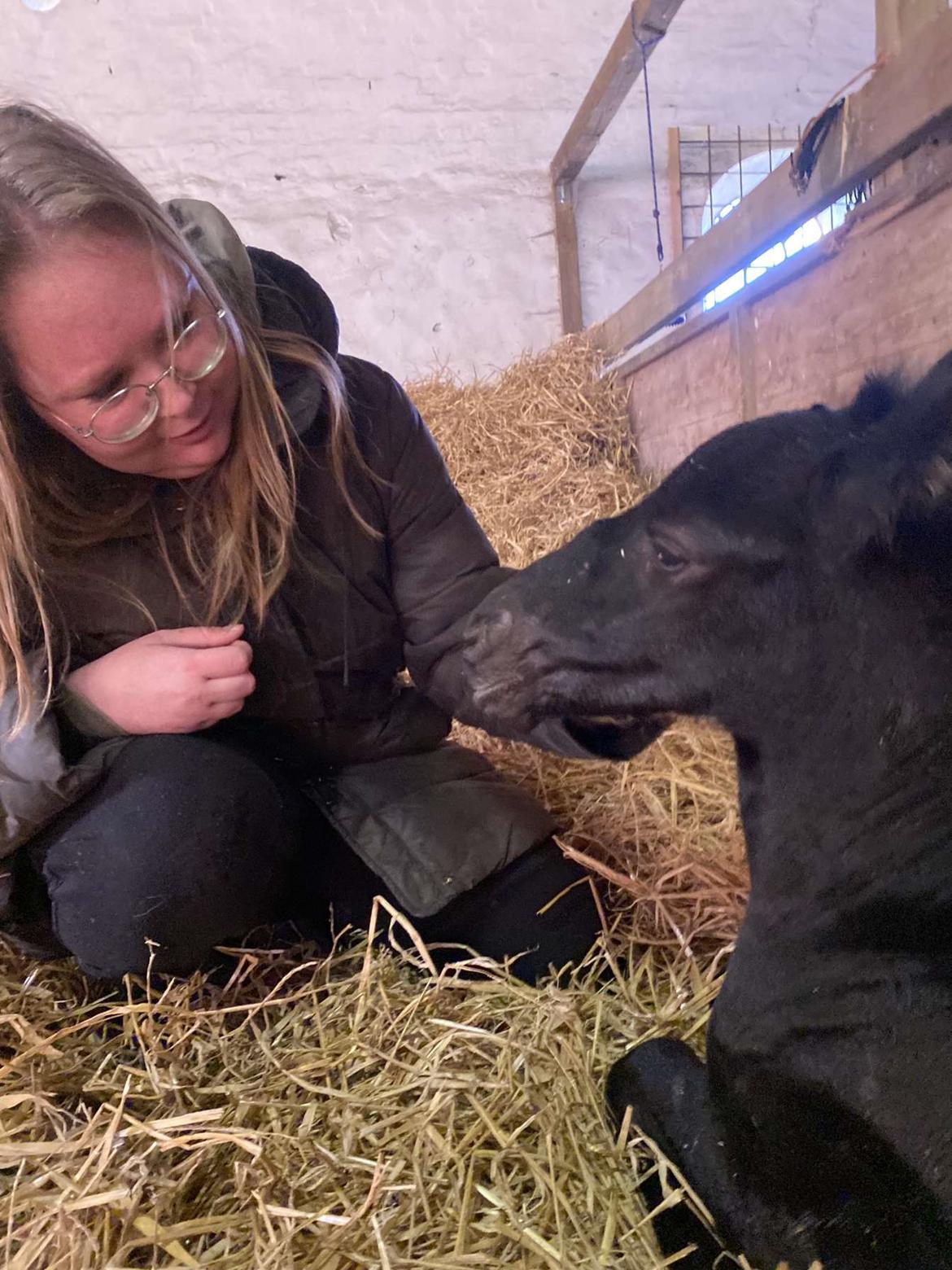 Anden særlig race Zigga - 24 Marts billede 10