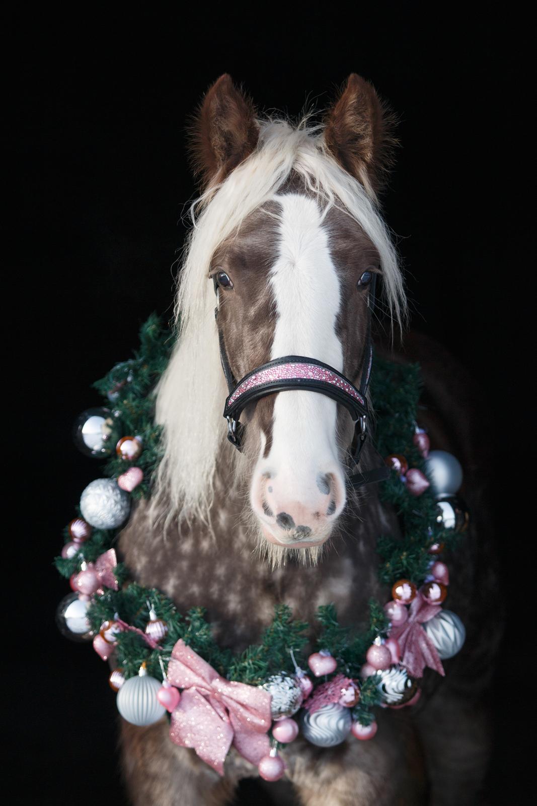 Tinker Lindbergs Special Dream billede 23