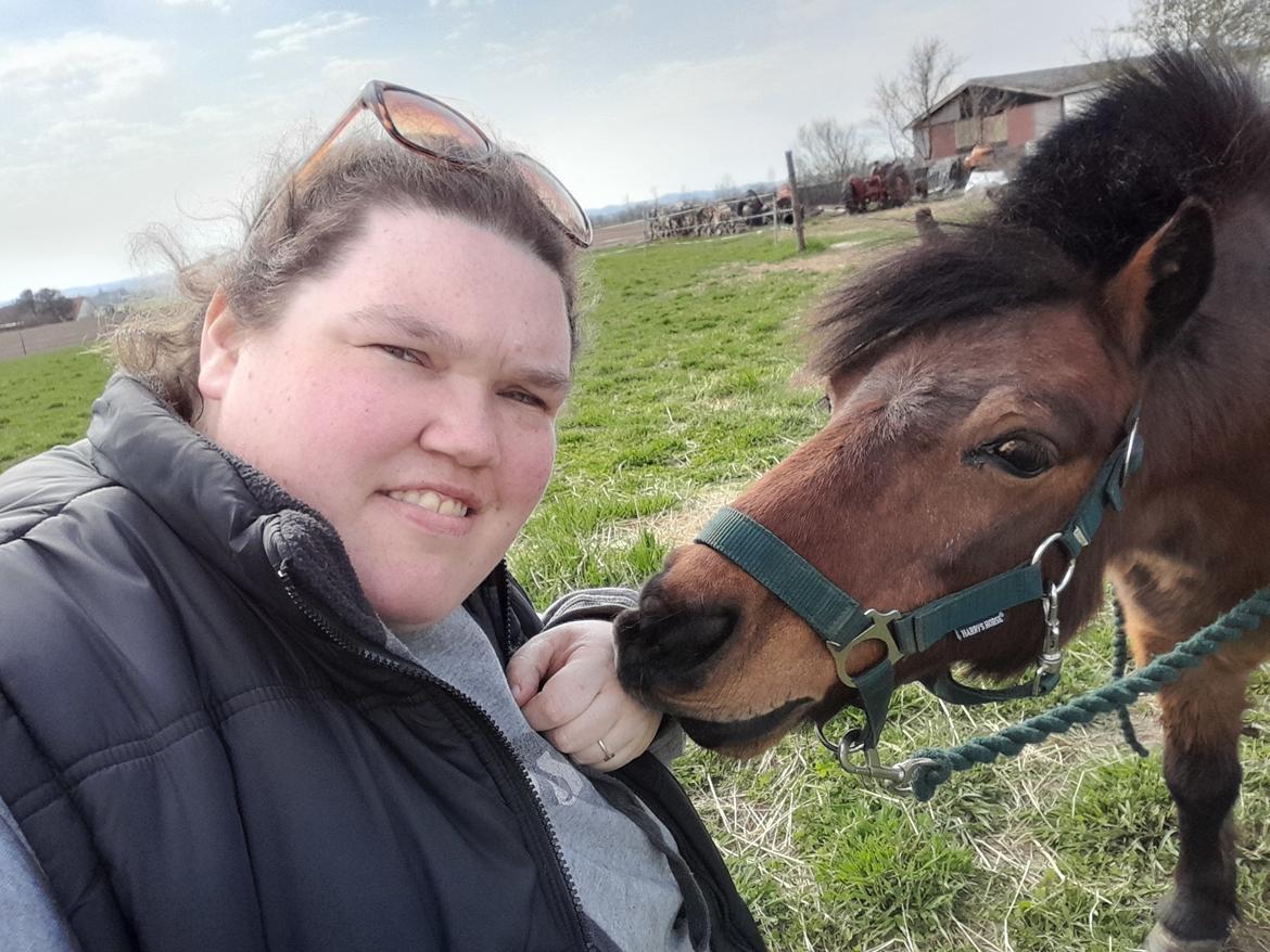 Shetlænder Thor - 15.04-2025 Aflivningsdagen billede 39