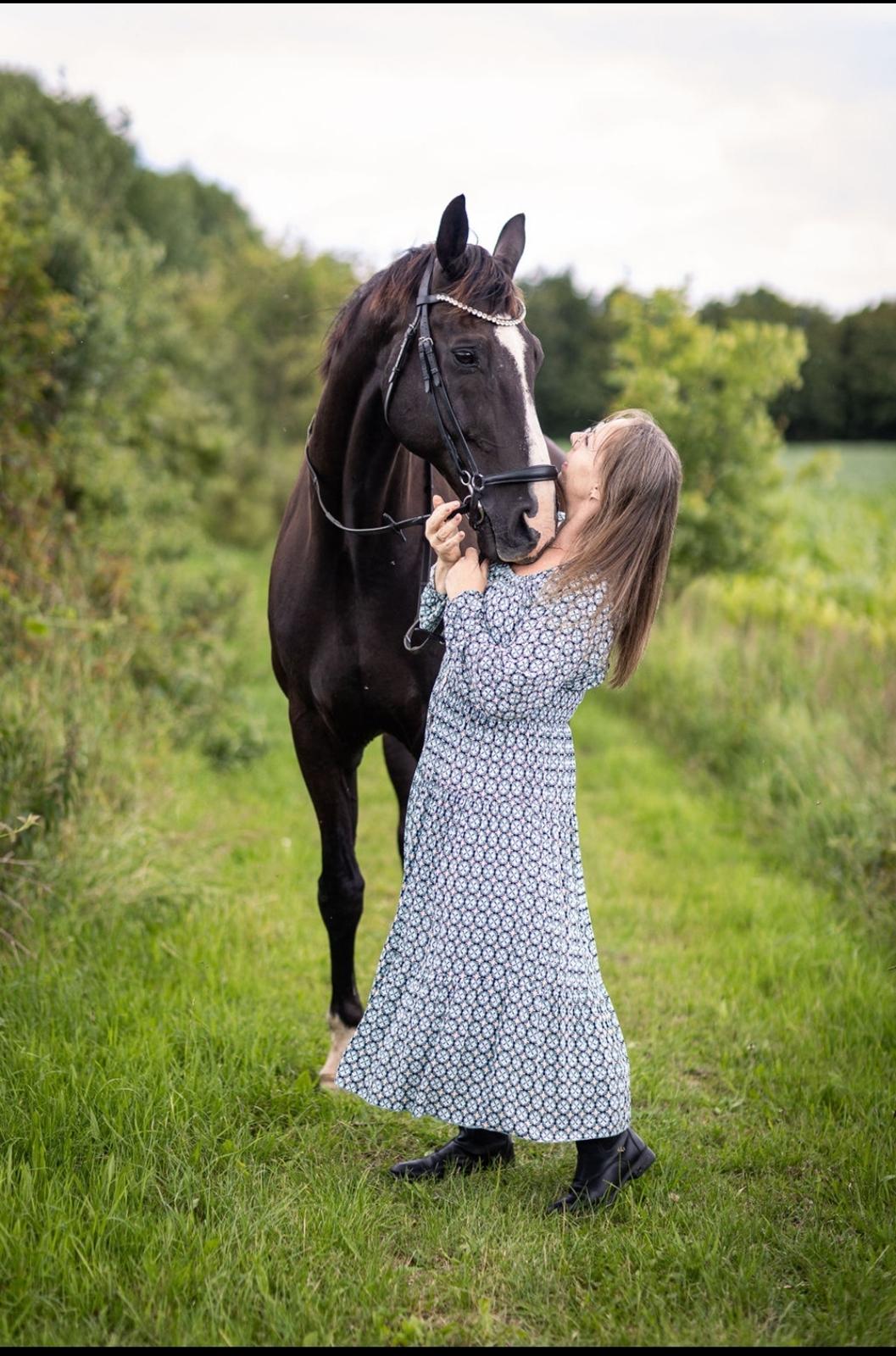 Dansk Varmblod Lero-Qvist billede 7