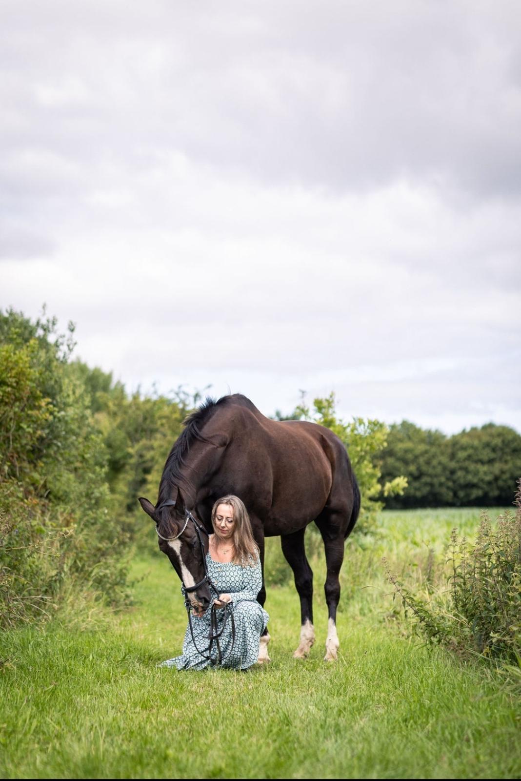 Dansk Varmblod Lero-Qvist billede 10