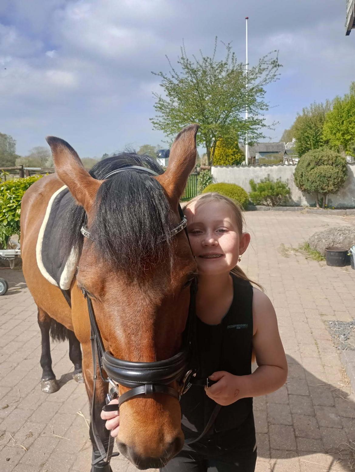 Anden særlig race Kallestrups inaya o'shar - varmt billede 22