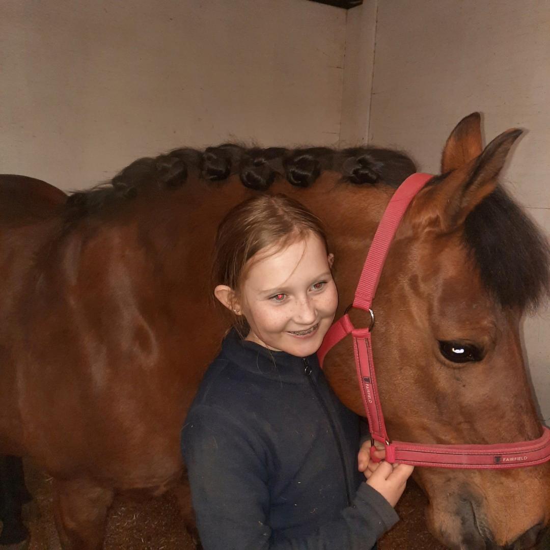 Anden særlig race Kallestrups inaya o'shar - det er så smukt at have rosen knuber billede 23