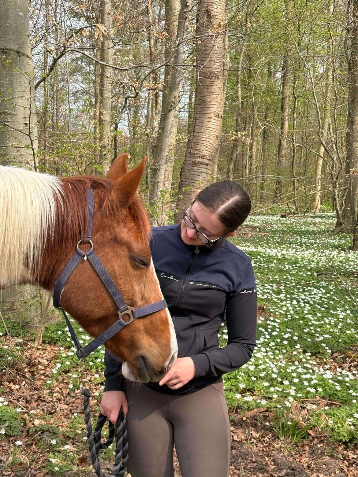 Anden særlig race Hope Silverstar billede 7
