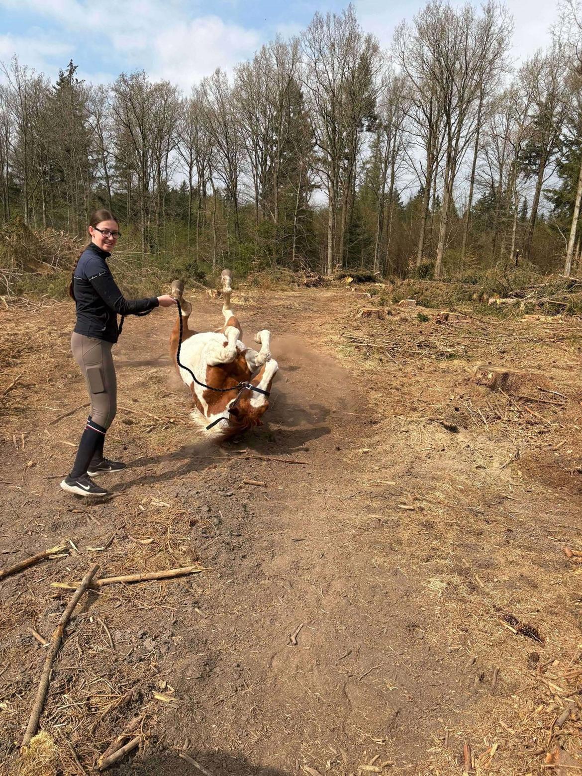 Anden særlig race Hope Silverstar billede 13