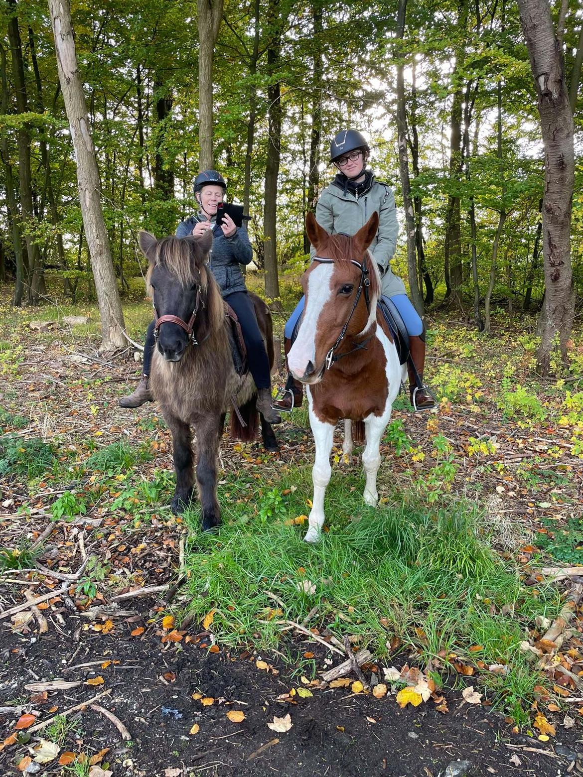 Anden særlig race Hope Silverstar billede 14