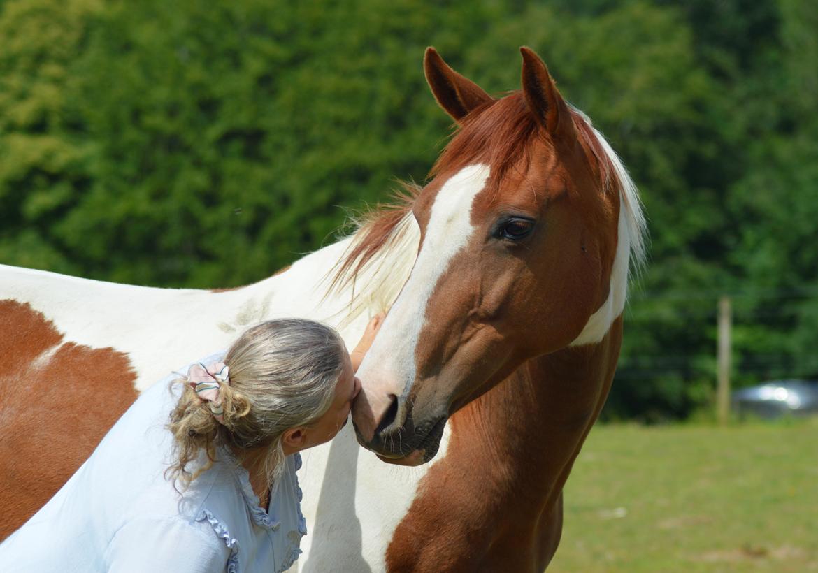 Anden særlig race Hope Silverstar billede 10