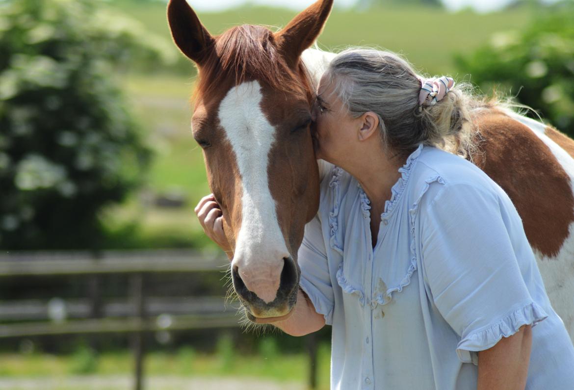 Anden særlig race Hope Silverstar billede 6
