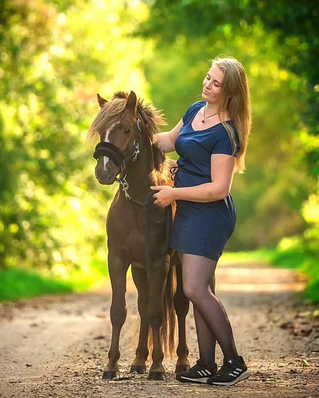 Welsh Mountain (sec A) Callunas Lucky Luke | Fighter | [Hjemvendt] billede 5