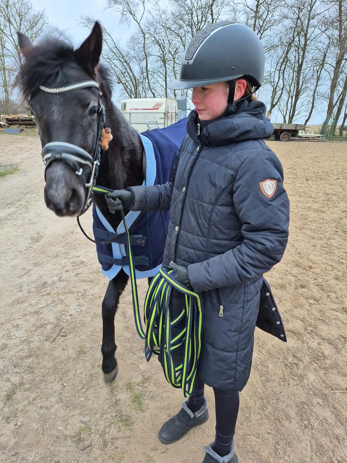 Welsh Pony (sec B) Lille Blombjerggårds Pinkie Pie billede 17