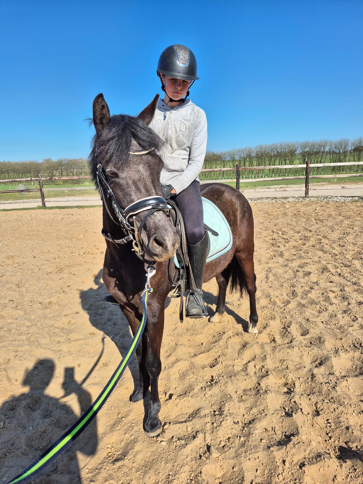 Welsh Pony (sec B) Lille Blombjerggårds Pinkie Pie billede 19