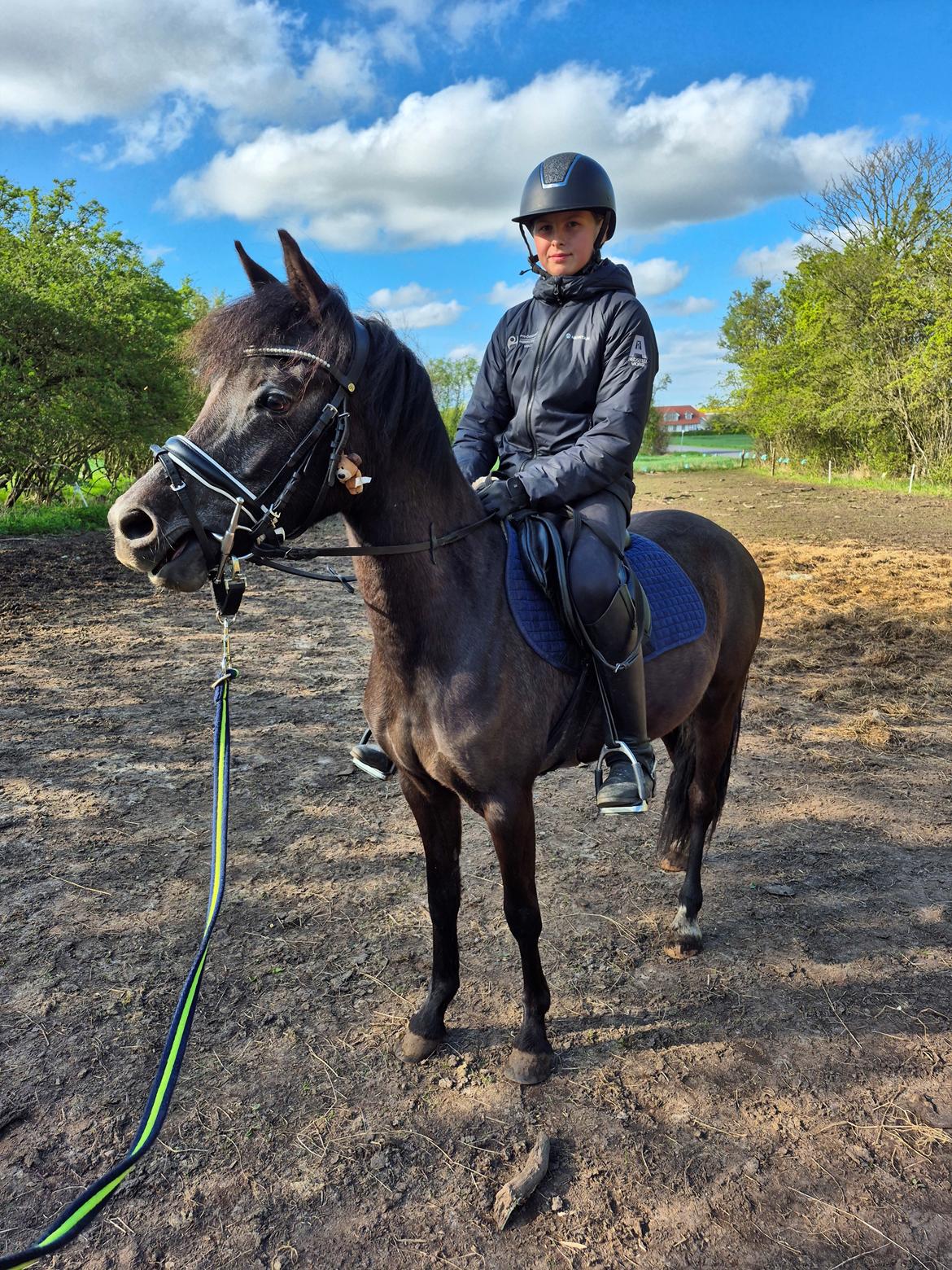 Welsh Pony (sec B) Lille Blombjerggårds Pinkie Pie billede 21