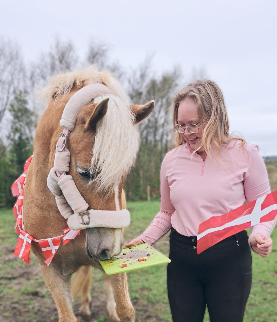 Haflinger Rosègold billede 25