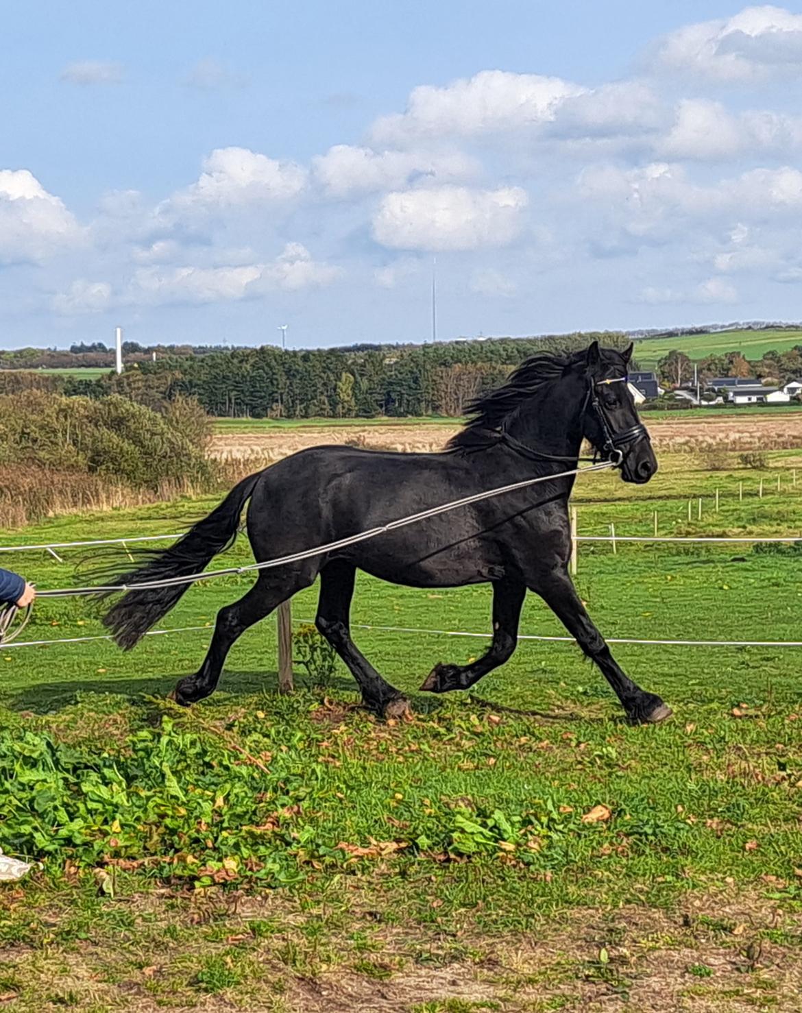 Frieser Højlund's Zafira billede 19