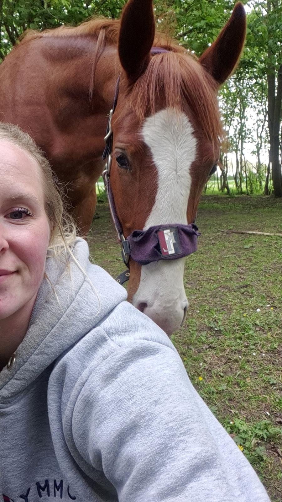 Oldenborg Whasti billede 24