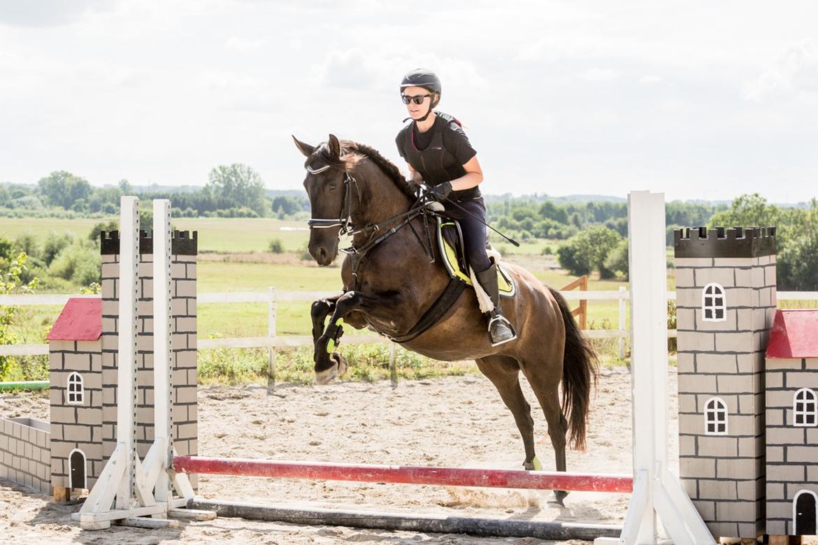 Pura Raza Española Joya MAR  billede 24