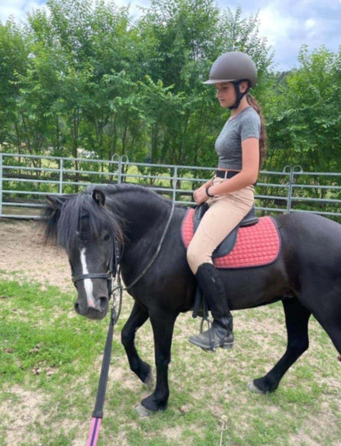 Dartmoor Queen of hearts  billede 3