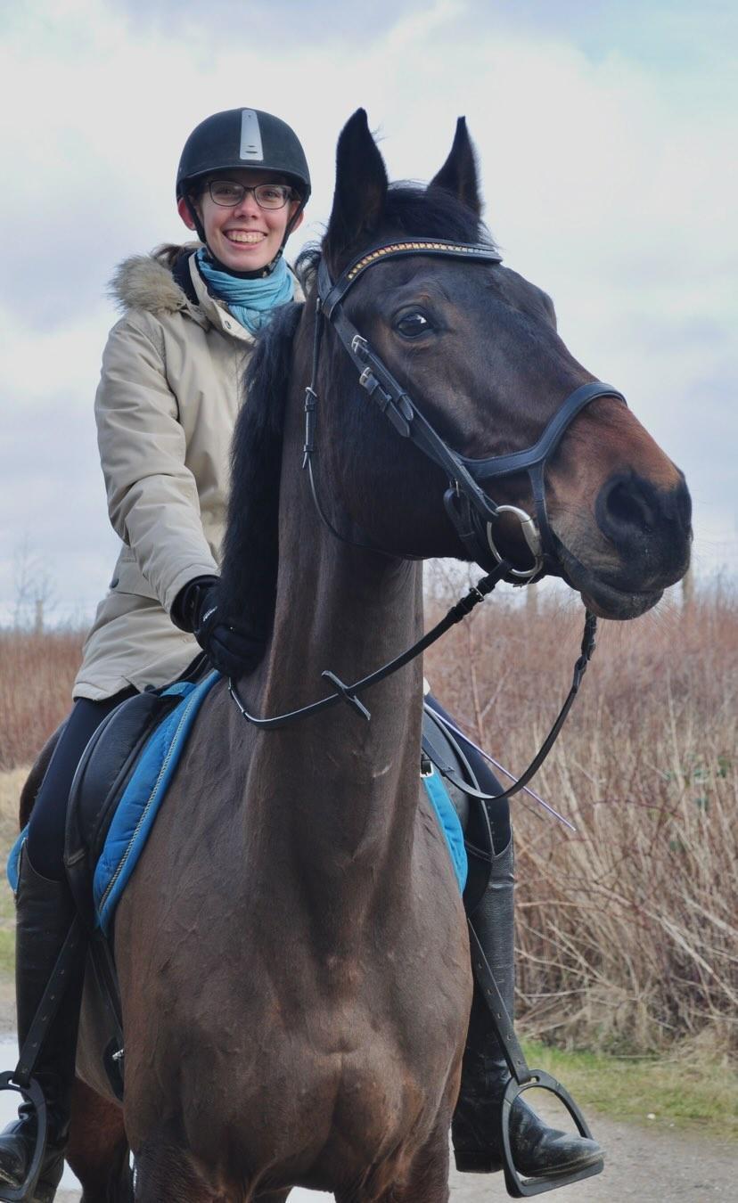 Dansk Varmblod Savah billede 1