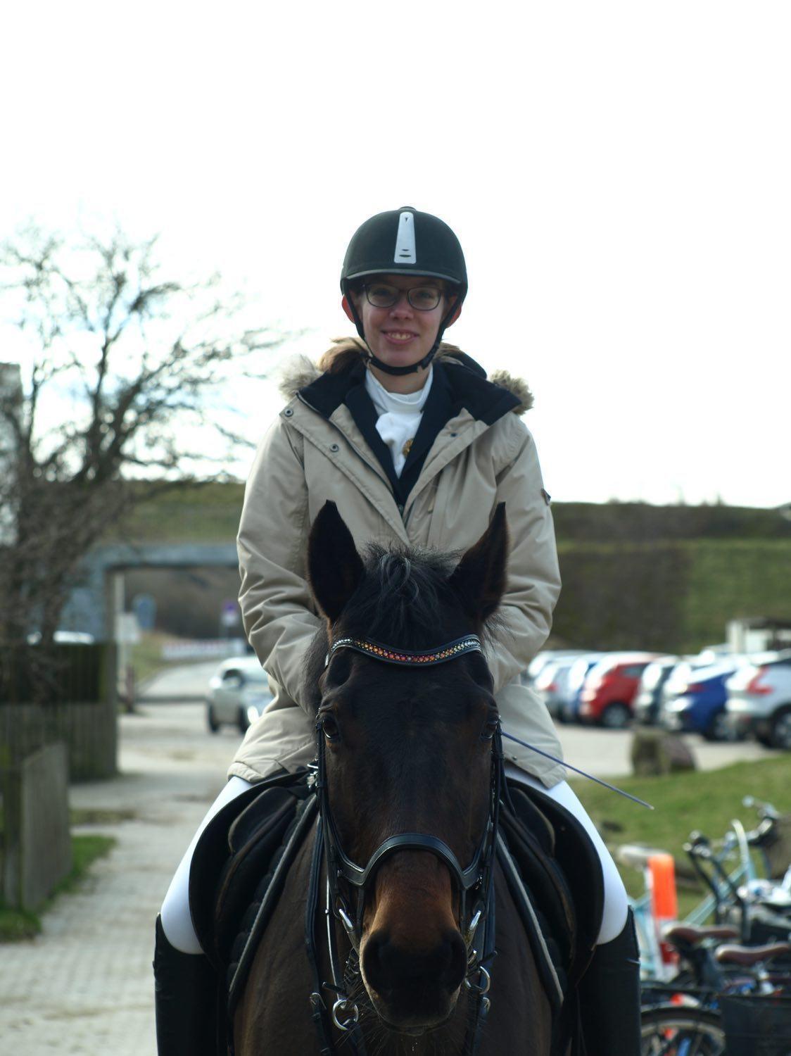 Dansk Varmblod Savah billede 2