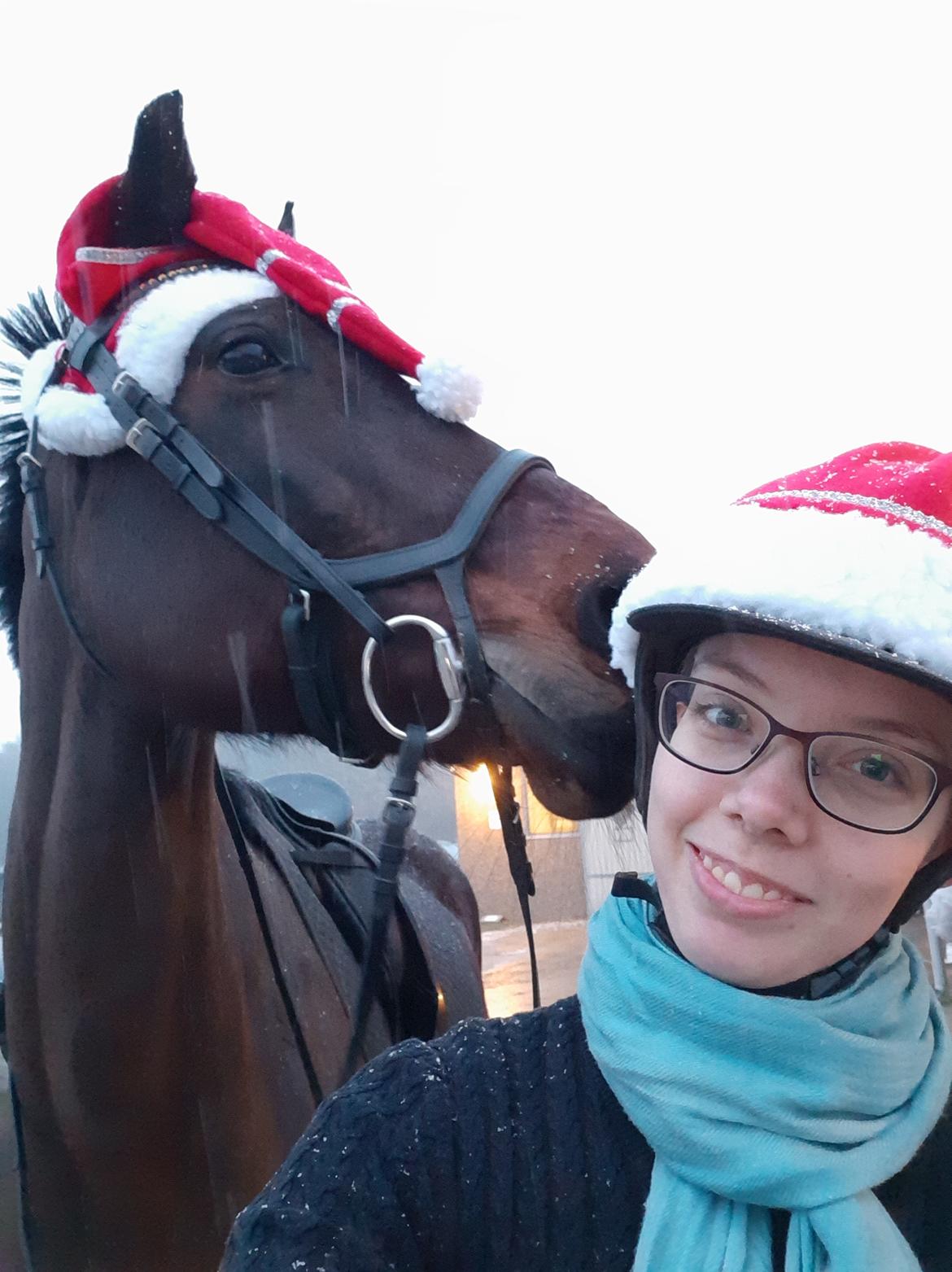 Dansk Varmblod Savah billede 4