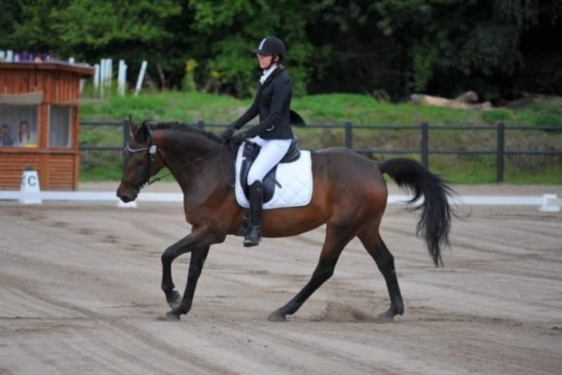 Dansk Varmblod Savah - Vores 2. stævne sammen hvis jeg husker rigtigt. 2020 billede 11