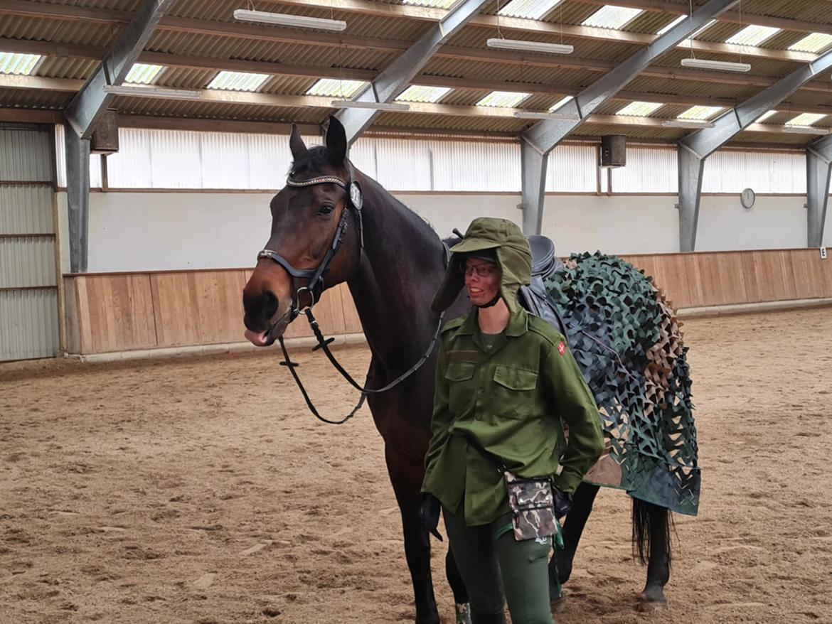 Dansk Varmblod Savah - Showstævne 2025, red en pardressur udklædt som militær billede 17