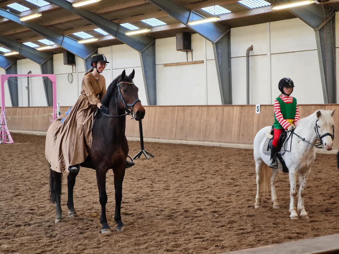 Dansk Varmblod Savah - Præmieoverrækkelse, showstævne 2025. Vi har aldrig før prøvet ringridning, men vandt dælme. billede 18