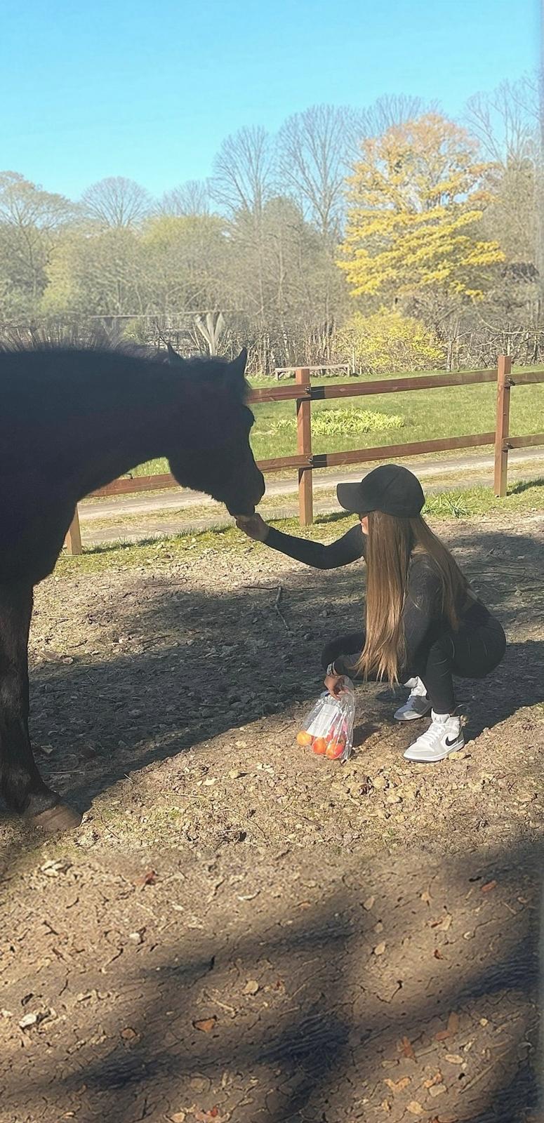 DSP Bæklunds Matine <3 billede 3