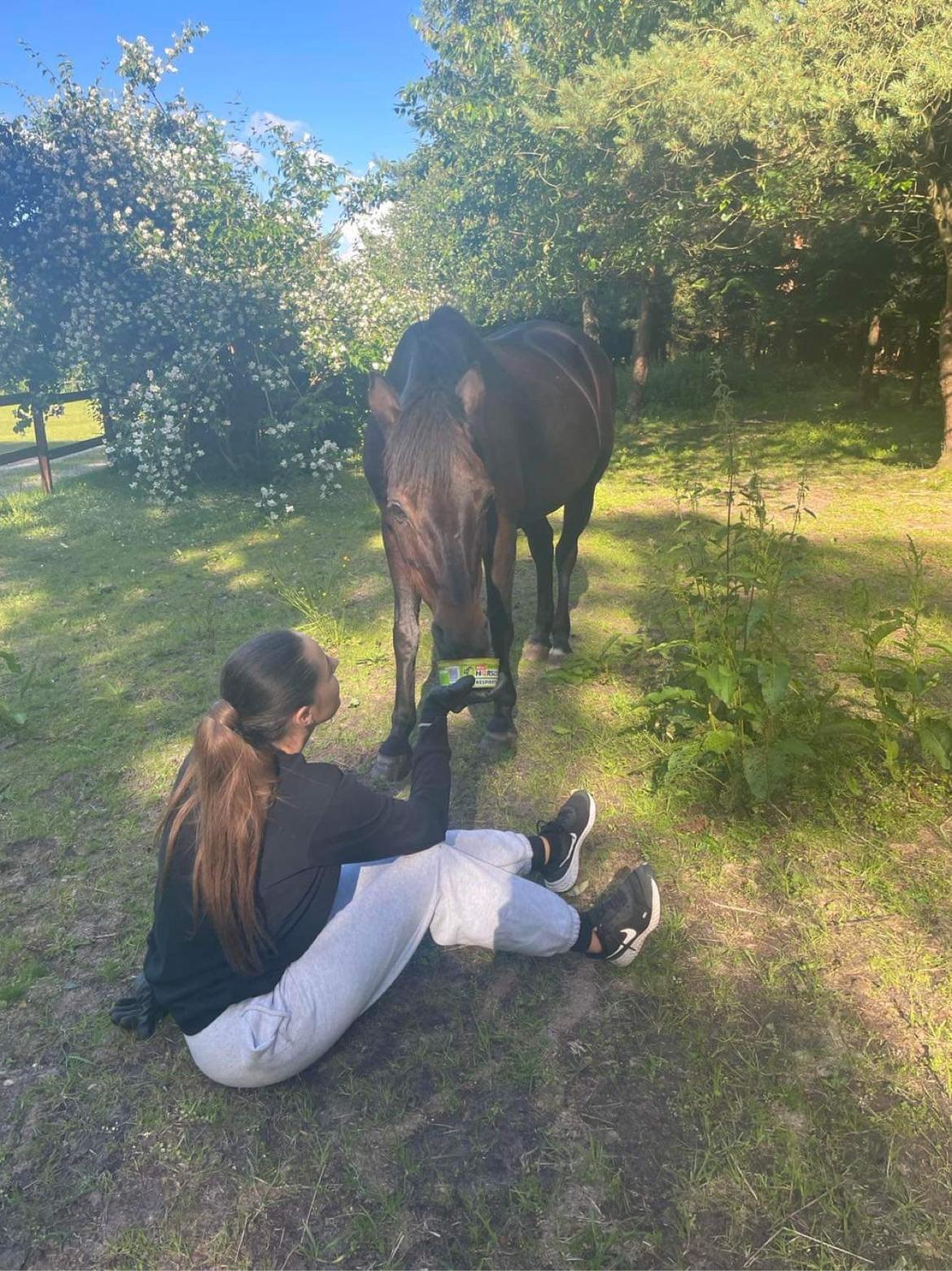 DSP Bæklunds Matine <3 billede 7