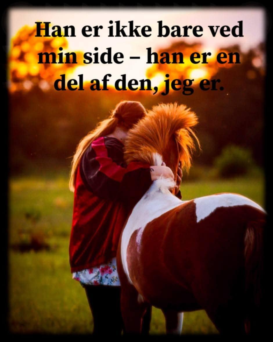 Anden særlig race Kofoeds Hidalgo O.C billede 42