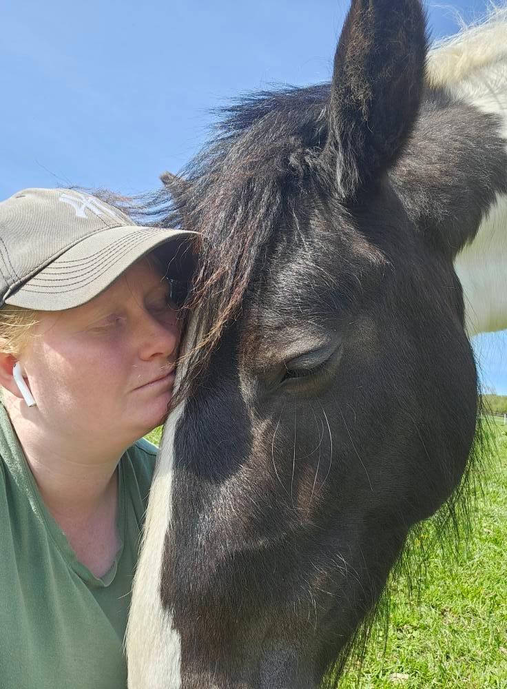 Irish Cob Stald Dalby's Miley Montana billede 25