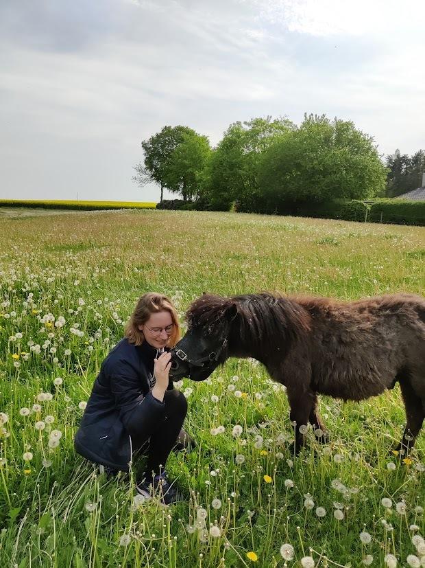 Shetlænder Thorshøj's kalk - Da Kalk kom til os lignede han oprigtigt en krydsning mellem en lama og et får - vi fik heldigvis ret hurtigt pillet følpelsen af ham. billede 27