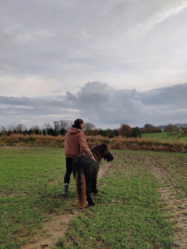 Shetlænder Thorshøj's kalk billede 21