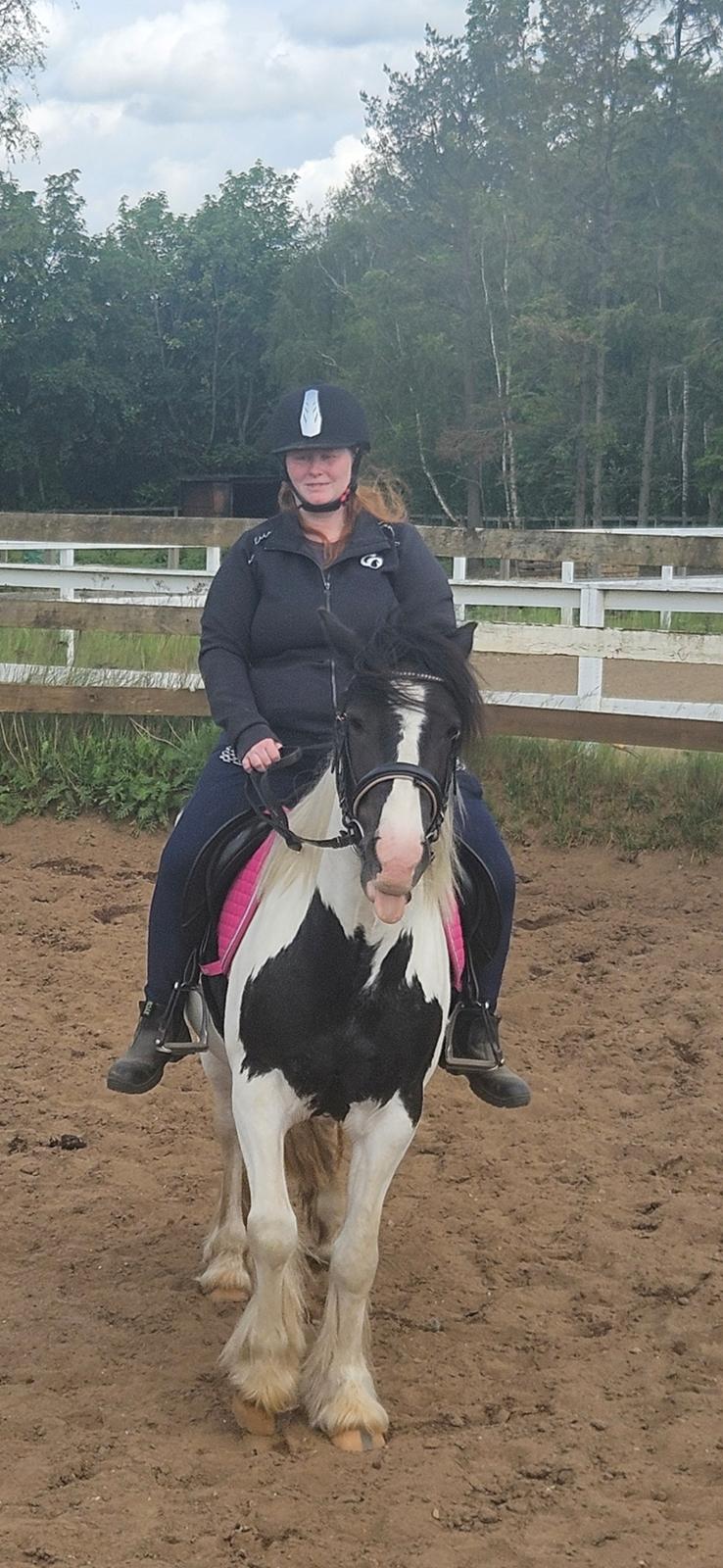 Irish Cob Stald Dalby's Miley Montana billede 26