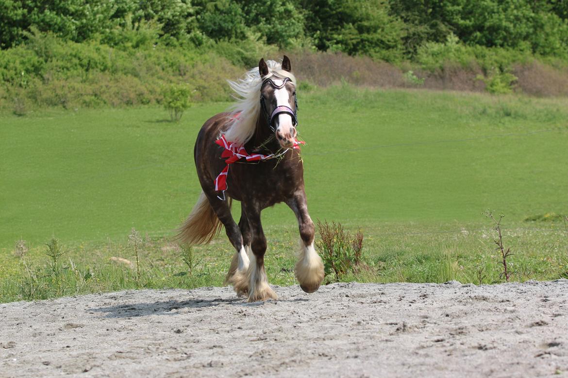 Tinker Lindbergs Special Dream billede 24