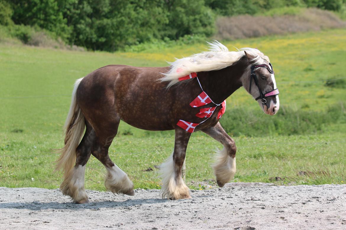 Tinker Lindbergs Special Dream billede 25