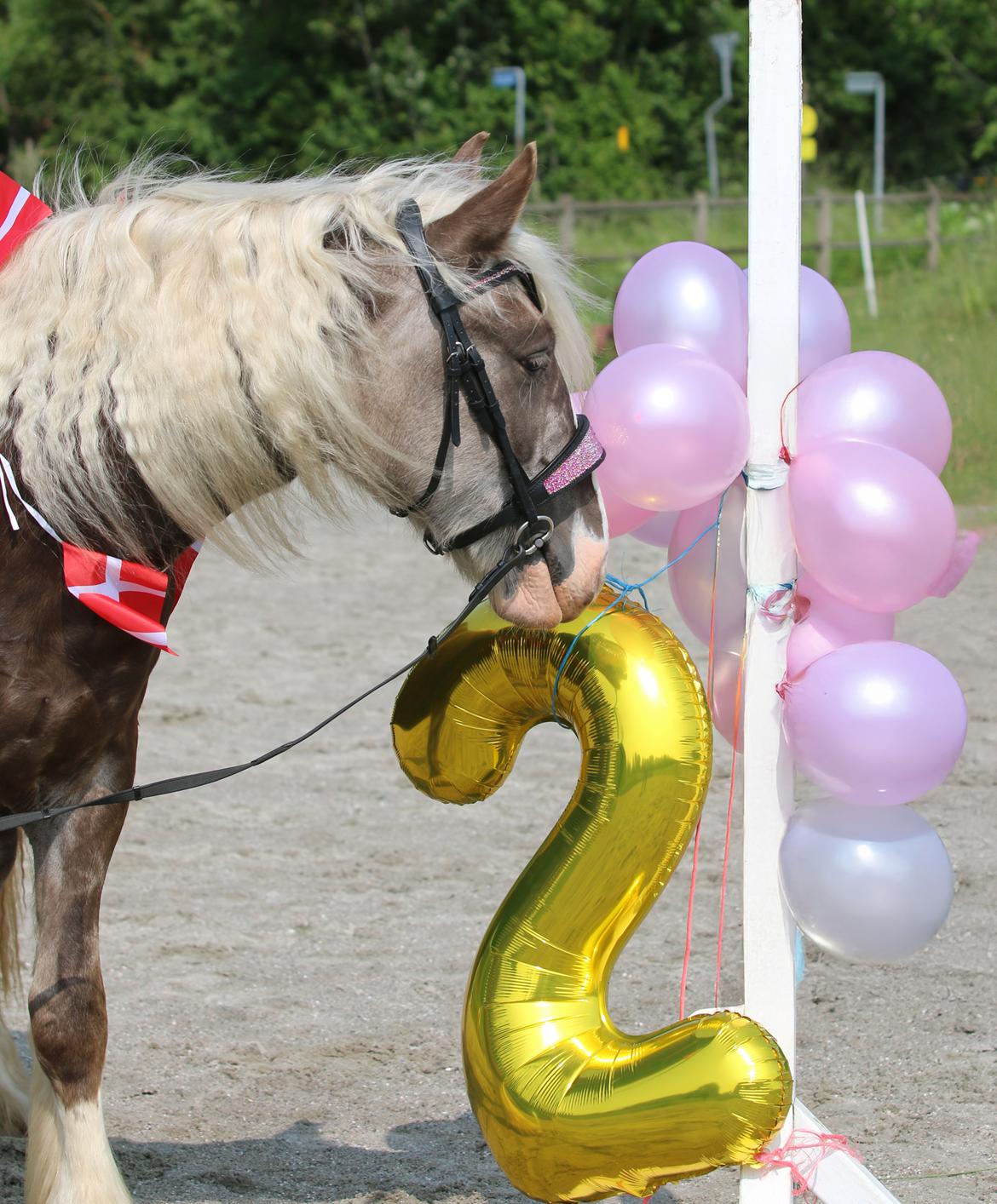 Tinker Lindbergs Special Dream billede 26