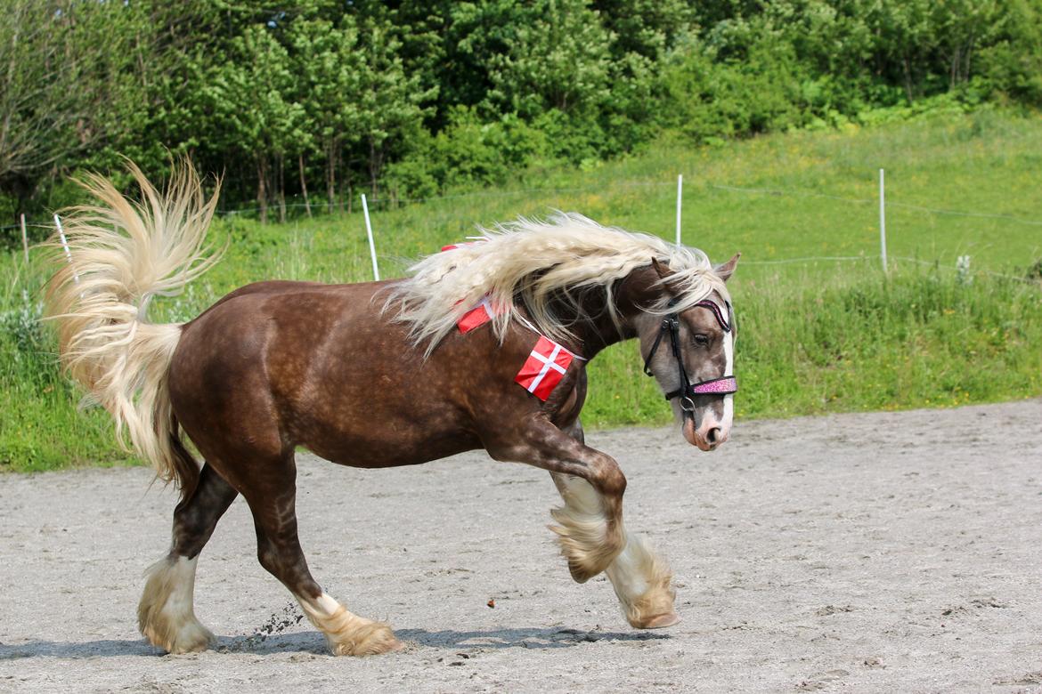 Tinker Lindbergs Special Dream billede 31