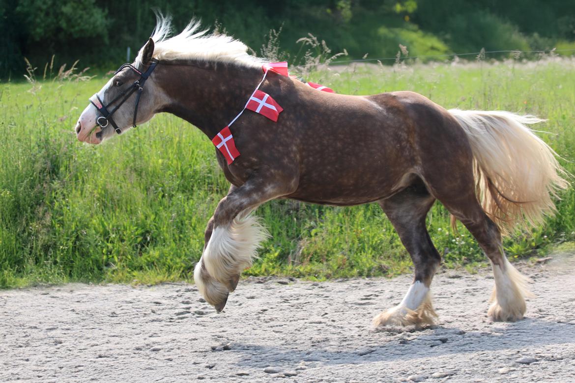 Tinker Lindbergs Special Dream billede 32