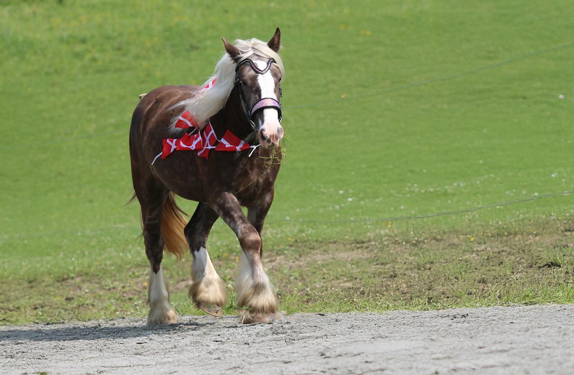 Tinker Lindbergs Special Dream billede 33
