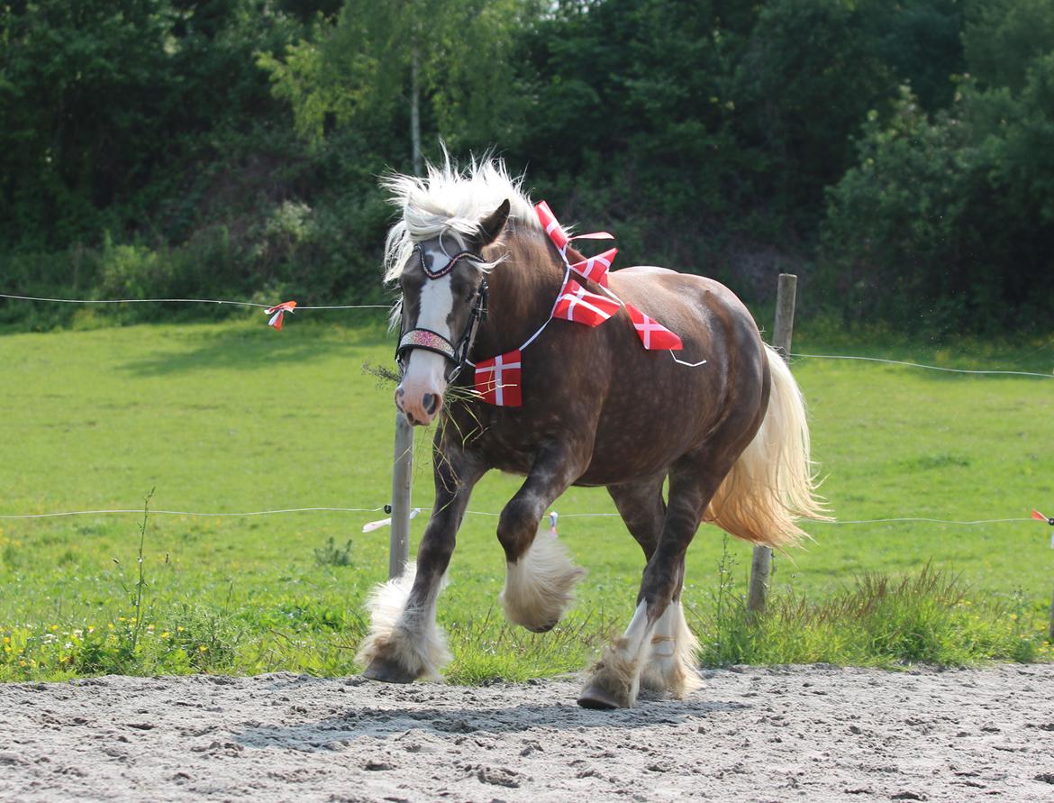 Tinker Lindbergs Special Dream billede 30