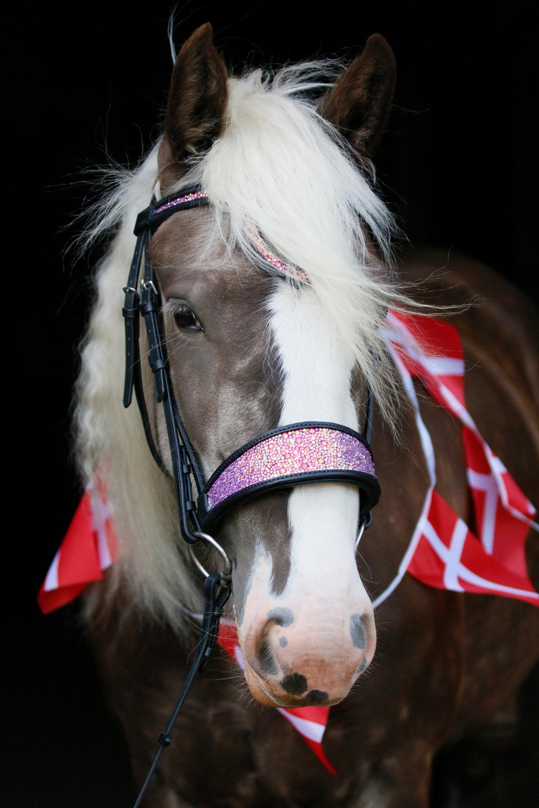 Tinker Lindbergs Special Dream billede 34