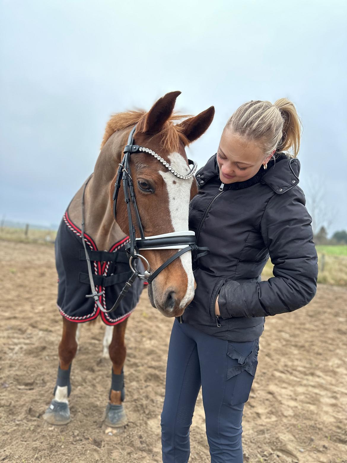 Anden særlig race Gabriella billede 5