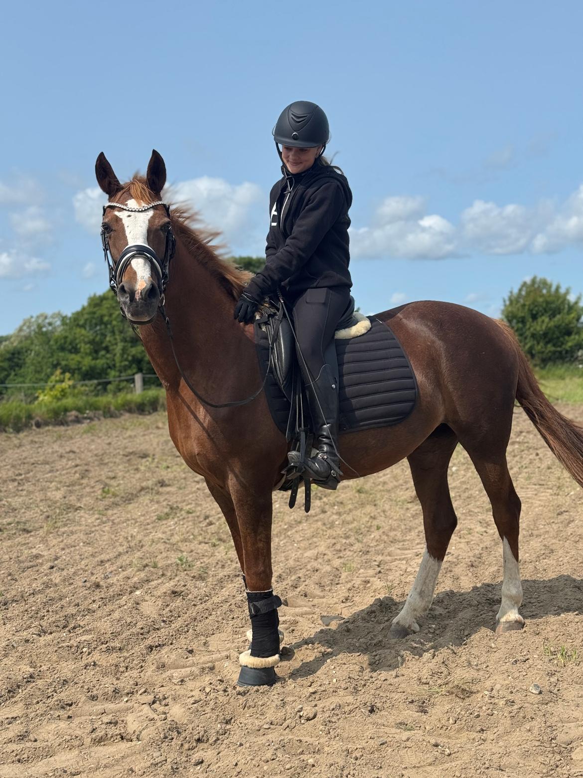 Anden særlig race Gabriella billede 4