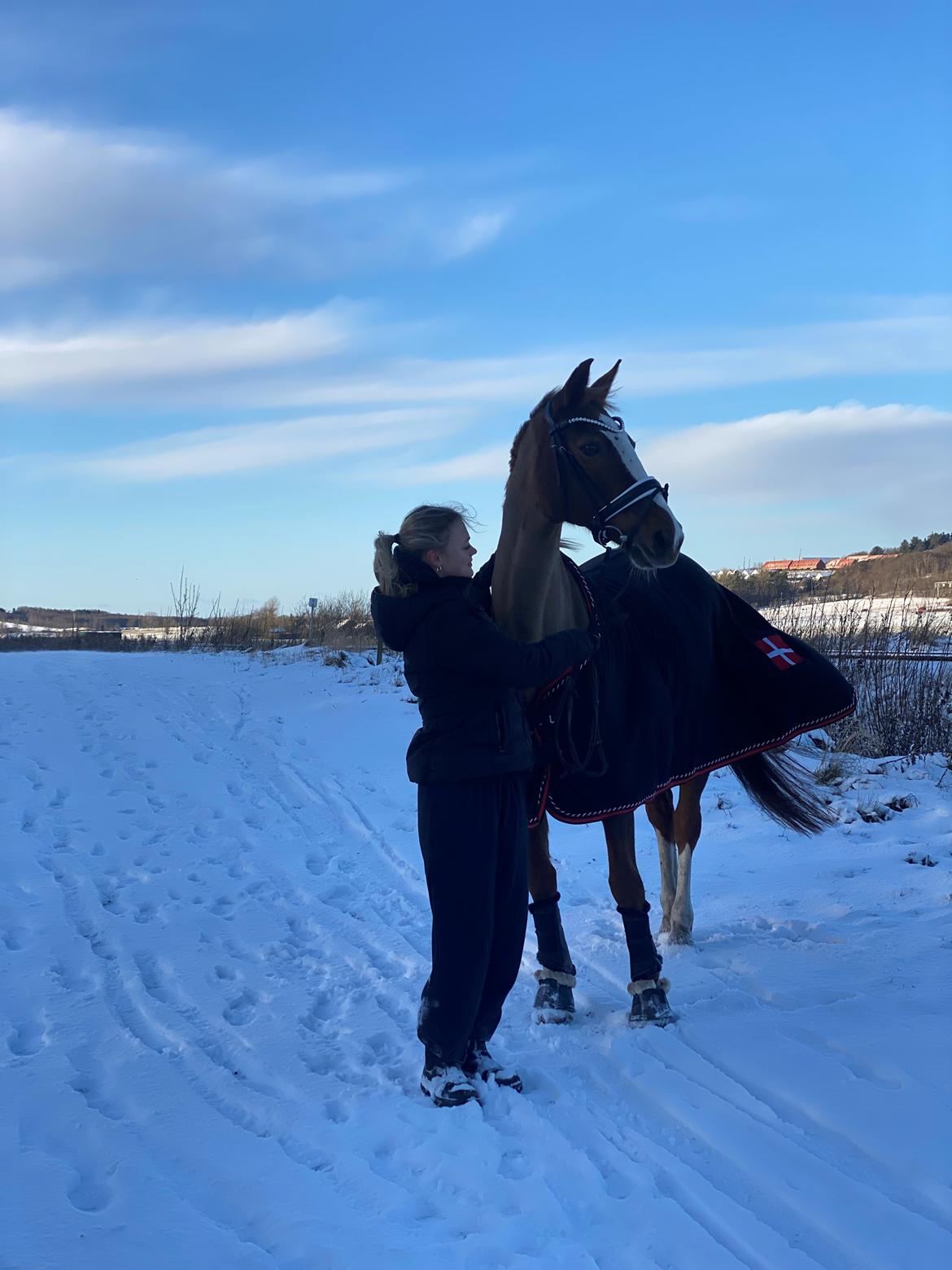 Anden særlig race Gabriella billede 9