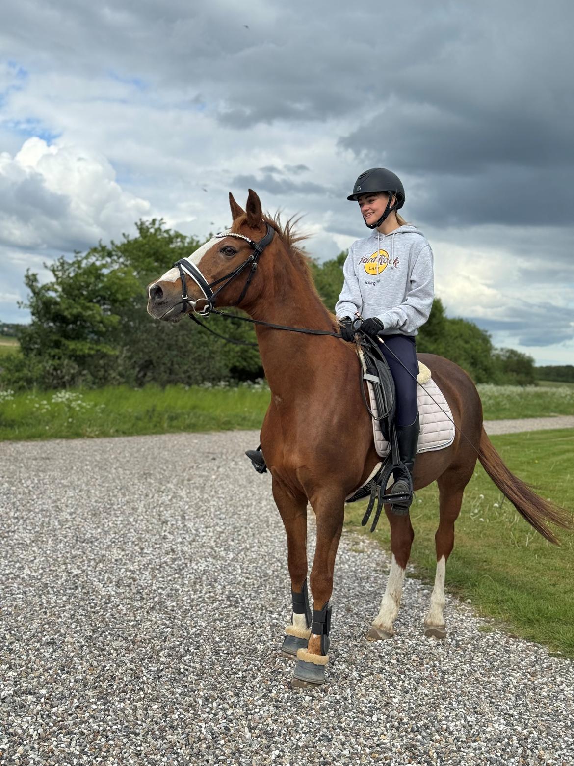 Anden særlig race Gabriella billede 11